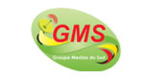 logo-GMS