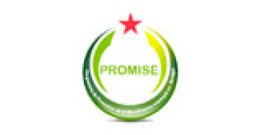 logo_PROMISE