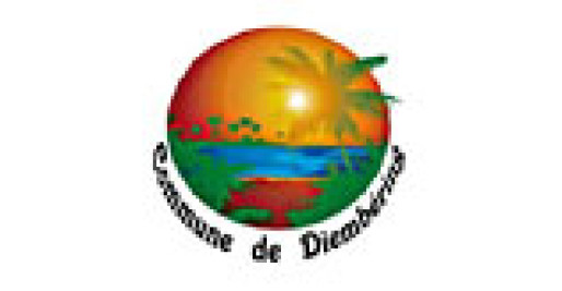 logo-CDD_small