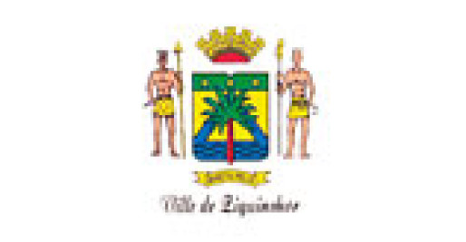 logo-VDZ_small
